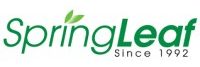 Springleaf