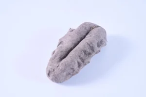 Dried Australian Wild Black Teatfish