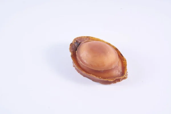 Dried Australian Wild Greenlip Candy Abalone