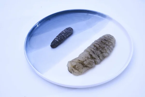 Dried Australian Wild Sandfish - Image 4