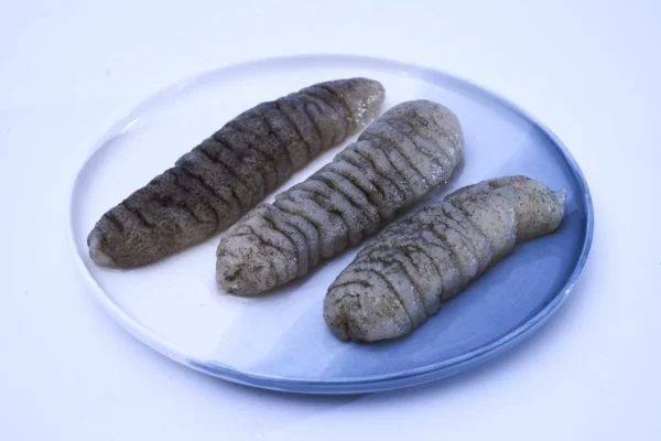 Dried Australian Wild Sandfish - Image 5